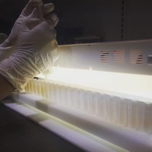 Inside GPS Pharmacy